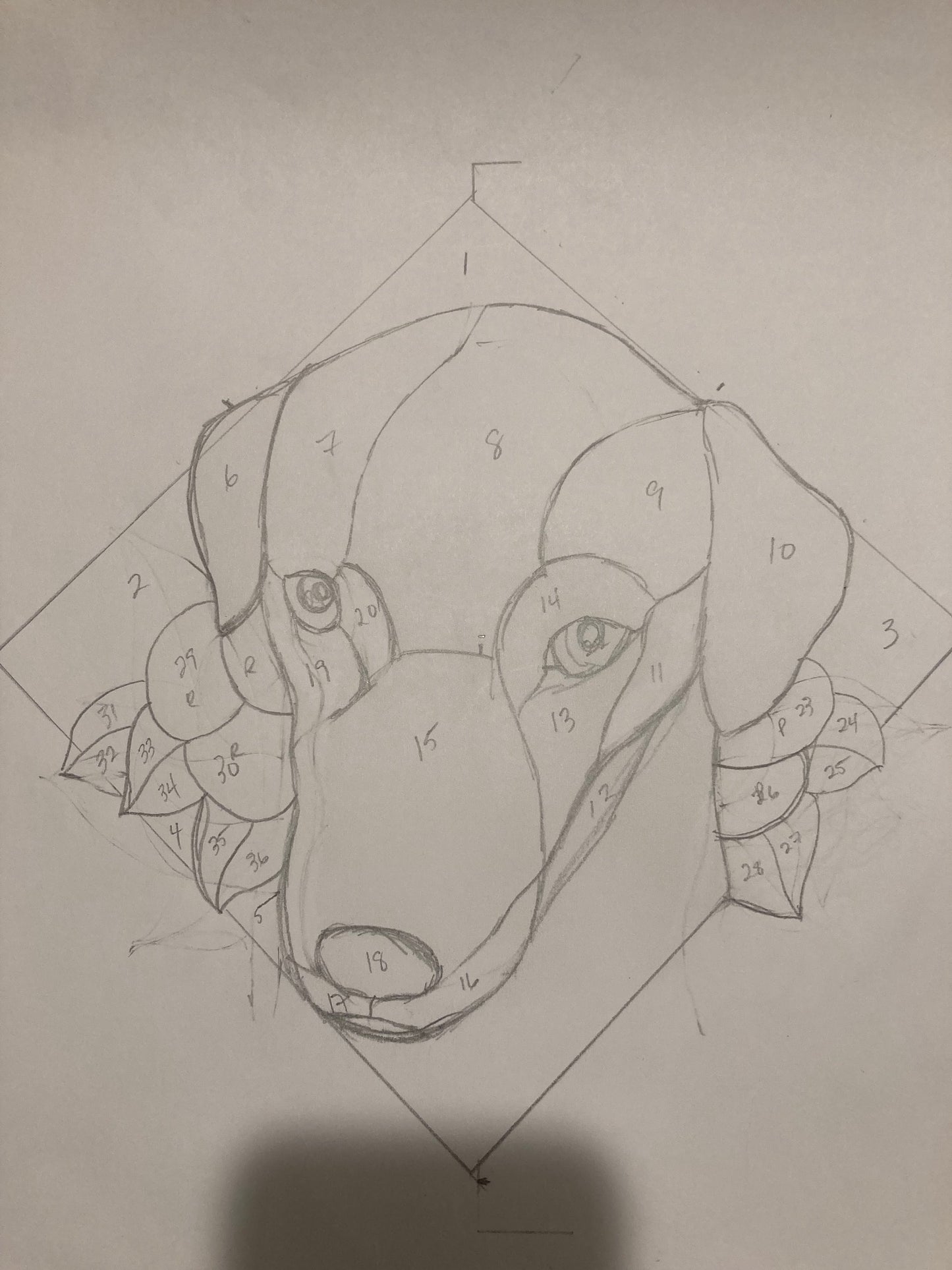 Puppy Portrait